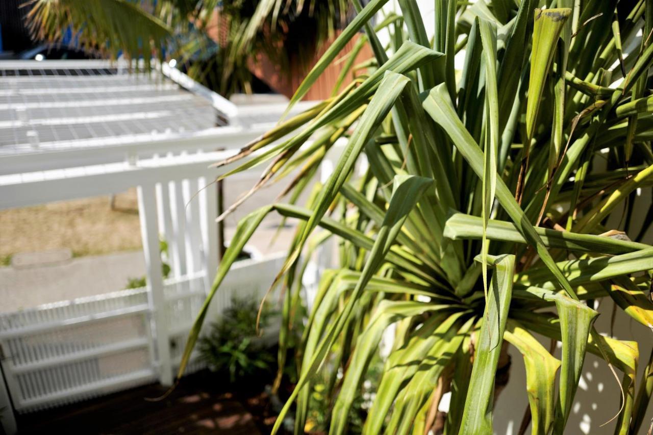 סידני The Bungalows At Bondi מראה חיצוני תמונה